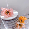 Knot & Bow Tall Ombre Beeswax Party Candles | Conscious Craft